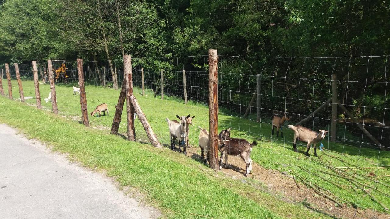Agroturystyka,, Ranczo Kruszynki" Stronie Śląskie Extérieur photo