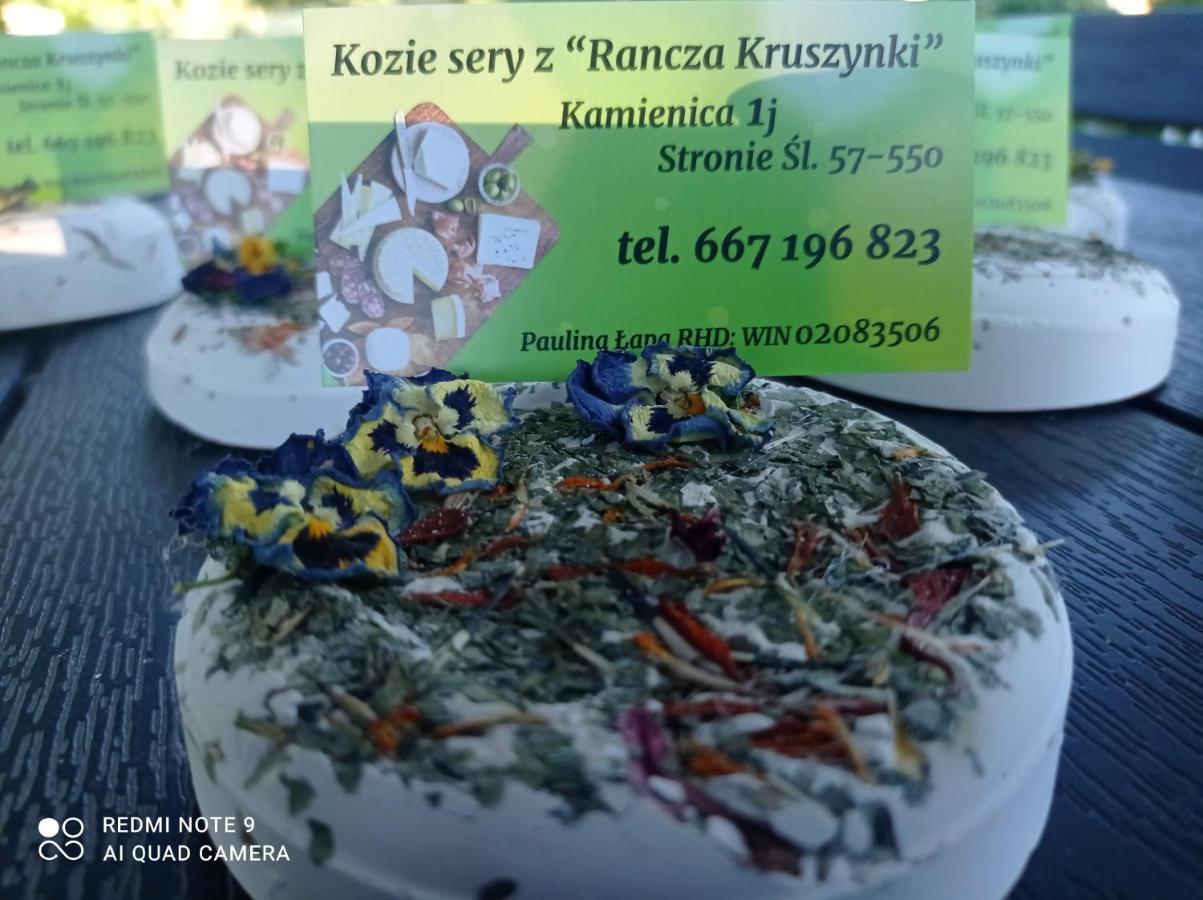 Agroturystyka,, Ranczo Kruszynki" Stronie Śląskie Extérieur photo